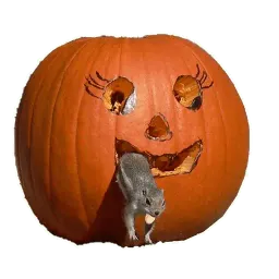 Хэллоуин sticker 9