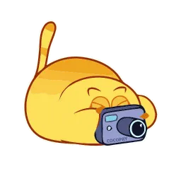 Счастливый котик sticker 4