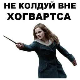 Гарри Поттер sticker 2