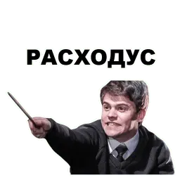 Гарри Поттер sticker 11
