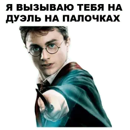 Гарри Поттер sticker 3