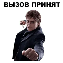 Гарри Поттер sticker 4