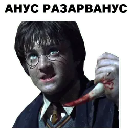 Гарри Поттер sticker 5