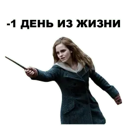 Гарри Поттер sticker 8