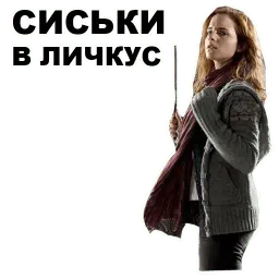 Гарри Поттер sticker 9
