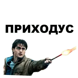 Гарри Поттер sticker 10