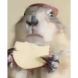 Хочу жрать sticker 5