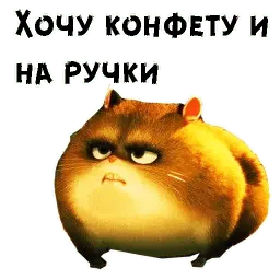 Хомяк Рино sticker 10