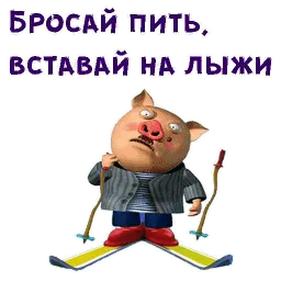 Хрюн Моржов sticker 4