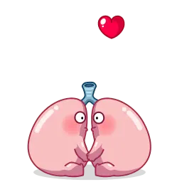 Человеческие органы sticker 2