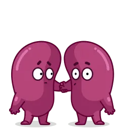 Человеческие органы sticker 4