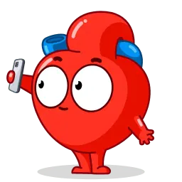 Человеческие органы sticker 6