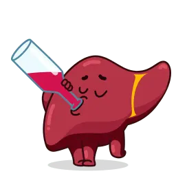 Человеческие органы sticker 10