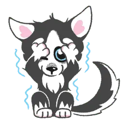 Husky sticker 11