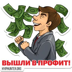 HyipHunter.org Stickers sticker 11