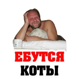 #ЯЖЕБАТЯ @TuristasTV sticker 12