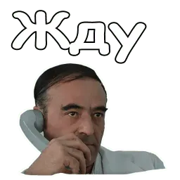 @animesticks :: Иван Васильевич меняет профессию sticker 11