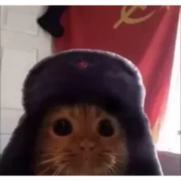 Шакальные коты sticker 4