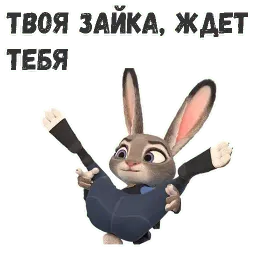 Джуди Хоппс sticker 2