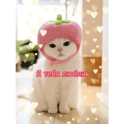 Няшные пикчи Telegram sticker pack