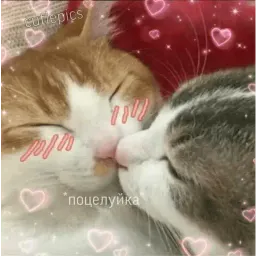 Няшные пикчи sticker 2