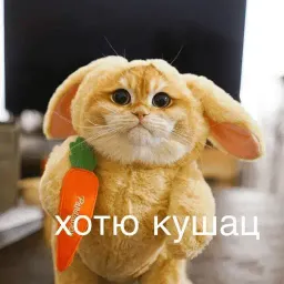 Няшные пикчи sticker 12