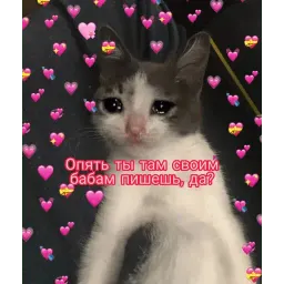 Няшные пикчи sticker 3