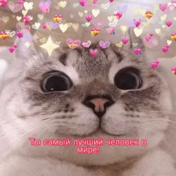 Няшные пикчи sticker 4