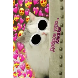 Няшные пикчи sticker 5