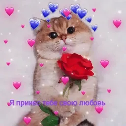 Няшные пикчи sticker 8