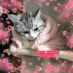 Няшные пикчи sticker 10