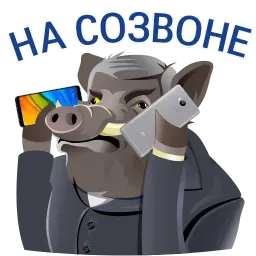 Кабанчиком sticker 5