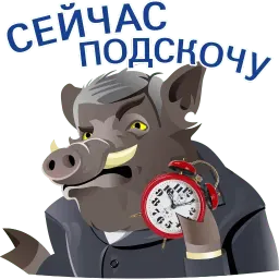 Кабанчиком sticker 6