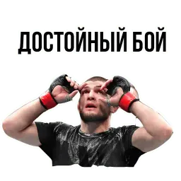 Хабиб sticker 11