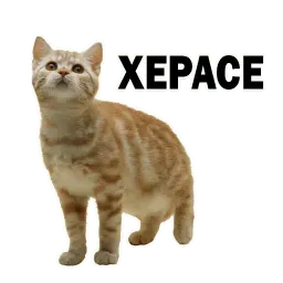 Котята от @TuristasTV sticker 11