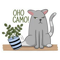 Котики sticker 11