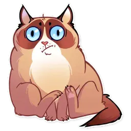 Кooky Сat Telegram sticker pack