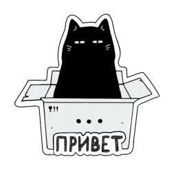 Кошка Жора Telegram sticker pack
