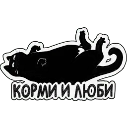 Кошка Жора sticker 4