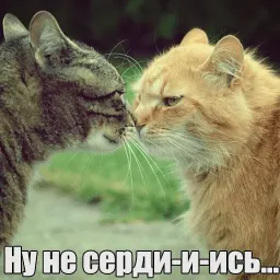 Котеечная любовь sticker 2