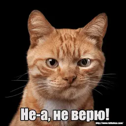 Котеечная любовь sticker 5