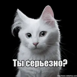 Котеечная любовь sticker 6