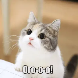 Котеечная любовь sticker 9
