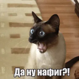 Котеечная любовь sticker 10