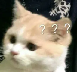 Коты-психологи sticker 2