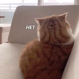 Коты-психологи sticker 12