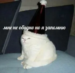 Коты-психологи sticker 5