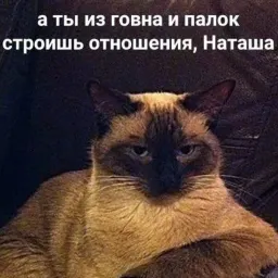 Коты-психологи sticker 8