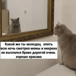 Коты-психологи sticker 9