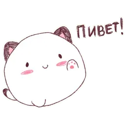 Круглокот 2.0 Telegram sticker pack